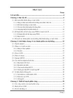 Thiết kế hệ thống điều khiển động cơ một chiều theo kĩ thuật PWM có phản hồi dòng điện trên nền vi điều khiển  ATmega16