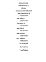 giáo án mầm non chủ đề   thế giới động vật