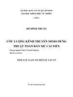 ƯỚC LƯỢNG KÊNH TRUYỀN MIMO DÙNG THUẬT TOÁN BÁN MÙ CẢI TIẾN