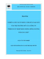 Luận văn tốt nghiệp chiến lược xuất khẩu cơm dừa nạo sấy vào thị trường mỹ của công ty TNHH xuất nhập khẩu rồng đông dương năm 2015   2020 