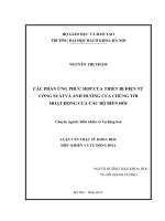 CÁC PHẢN ỨNG PHỨC hợp của THIẾT bị điện tử CÔNG SUẤTVÀ ẢNH HƢỞNG của CHÚNG tới HOẠT ĐỘNG của các bộ BIẾN đổi 