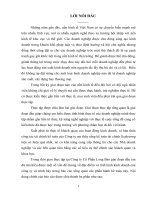 Thực trạng về việc lập và phân tích báo cáo kế quả hoạt động sản xuất kinh doanh, bảng cân đối kế toán  tại công ty cổ phần long bảo  