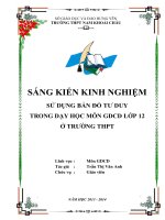 skkn sử dụng bản đồ tư duy trong dạy học môn GDCD lớp 12 ở trường THPT 