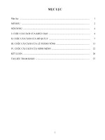 Đề tài tìm hiểu các cuộc cải cách trong lịch sử việt nam từ thế kỉ x đến nửa đầu thế kỉ XIX 