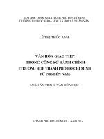 Văn hóa giao tiếp trong công sở hành chính (trường hợp thành phố hồ chí minh từ 1986 đến nay) 