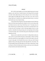 Mở rộng thị trường tiêu thụ sản phẩm của công ty TNHH minh hiếu – hưng yên thức ăn gia súc   tài liệu, ebook, giáo trình