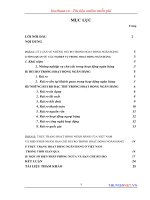 Các biện pháp hạn chế rủi ro trong hoạt động ngân hàng ở việt nam