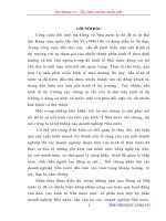 Vấn đề cổ phần hóa doanh nghiệp nhà nước, thực trạng và giải pháp 