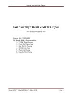 Báo cáo thực hành kinh tế lượng   nhóm ACDNPP 