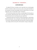 Chuyên đề một số giải pháp marketing nhằm giúp công ty may việt tiến hoàn thiện hệ thống nhận diện thương hiệu 