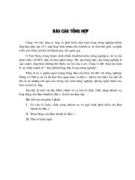 Cơ cấu tổ chức, chức năng nhiệm vụ và quá trình phát triển của ban chuẩn bị đầu tư