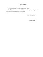 Phân tích, đánh giá tình hình tài chính giữa công ty cổ phần Traphaco và công ty cổ phần Dược Hậu Giang