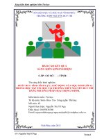 SKKN PHÁT HUY TÍNH TÍCH cực, CHỦ ĐỘNG của học SINH lớp 12 TRONG học tập TIN học tại TRƯỜNG THPT NGUYỄN DUY THÌ BẰNG PHƯƠNG PHÁP HOẠT ĐỘNG NHÓM 