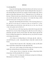 SKKN sử dụng phương pháp dạy học phát hiện và giải quyết vấn đề hỗ trợ dạy học bài tập hoá học thực tiễn chương halogen hoá học 10 trung học phổ 