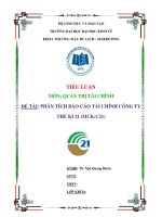 Tiểu luận phân tích báo cáo tài chính công ty thế kỉ 21 