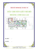 Lập dự án miễn phí đầu tư dây chuyền giết mổ bò hoàng anh gia lai 