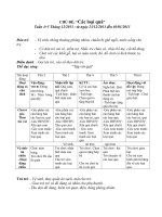 giáo án mầm non chủ đề các loại hoa quả