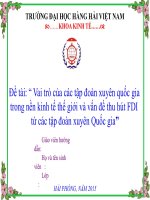 Vai trò của các tập đoàn xuyên quốc gia trong nền kinh tế thế giới và vấn đề thu hút FDI từ các tập đoàn xuyên quốc gia 