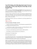 hoi nhap van hoa va hoi nhap kinh te khi viet nam gia nhap wto