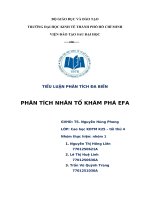 Tiểu luận phân tích đa biến Phân tích nhân tố khám phá EFA