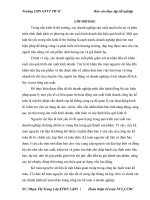 Hoàn thiện kế toán nguyên vật liệu,công cụ dụng cụ tại công ty cổ phần nhựa và môi trường xanh an phát 