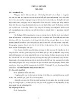 Vài nét về điện hóa trong ôn học sinh giỏi” 