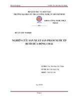 Nghiên cứu sản xuất sản phẩm nước ép bưởi dứa đóng chai