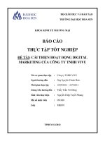 Cải thiện hoạt động digital marketing của công ty VIVU