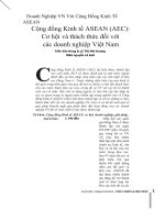hiệp định asean AEC............................................