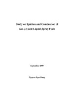 Study on ignition and combustion of gas jet and liquid spray fuels