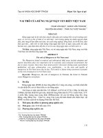 Vai trò rừng ngập mặn ven biển Việt Nam