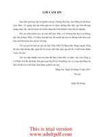 Hoàn thiện hệ thống kiểm soát nội bộ tại công ty cổ phần viet bo 