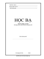 Mau hoc ba VNEN lớp 6 mô hình THM