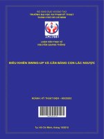 Điều khiển swing up và cân bằng con lắc ngược