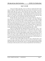 Tiểu luận môn học kinh tế môi trường 