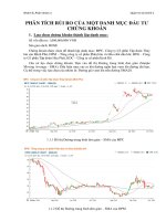 Bài tiểu luận phân tích rủi ro của một danh mục đầu tư chứng khoán 