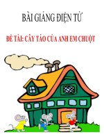 Bài giảng điện tử đề tài Cây táo của anh em chuột