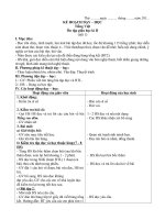 Giáo án lớp 5 trọn bộ theo phân phối chương trình tuần 28 