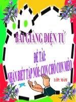 Bài giảng điện tử mầm non lớp Mầm đề tài Nhận biết tập nói Con chó, con mèo
