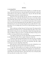 Phong trào yêu nước chống Pháp ở Khánh Hòa từ cuối thế kỷ XIX đến năm 1930