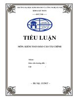 Bài tiểu luận kiểm toán tài sản cố định và chi phí khấu hao 