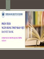 Thuyết trình tiểu luận cao học   phân tích ngân hàng bảo việt giai đoạn 2008   2013