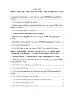 Báo cáo thực tập kế toán tại công ty TNHH công nghiệp trí cường 