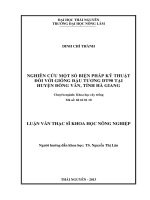 Nghiên Cứu Một Số Biện Pháp Kỹ Thuật Đối Với Giống Đậu Tương DT90 Tại Huyện Đồng Văn, Tỉnh Hà Giang