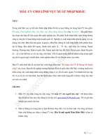 MẪU CV CHO LĨNH vực XUẤT NHẬP KHẨU
