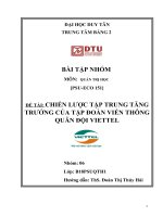 CHIẾN lược tập TRUNG TĂNG TRƯỞNG của tập đoàn VIẾN THÔNG QUÂN đội VIETTEL 