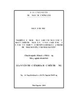 Nghiên Cứu Ảnh Hưởng Của Hoạt Động Sản Xuất Rau Tới Môi Trường Đất, Nước Và Sức Khỏe Người Sản Xuất Tại Khu Vực Chuyên Canh Rau Của Thành Phố Thái Nguyên, Tỉnh Thái Nguyên