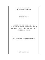 Nghiên Cứu Tuyển Chọn Giống Và Thời Điểm Thu Hoạch Giống Sắn Mới Có Triển Vọng Tại Huyện Sơn Dương - Tỉnh Tuyên Quang
