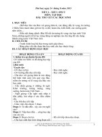 Giáo án lớp 5 tuần 1, năm học mới