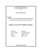 Phân Lập Và Đánh Giá Khả Năng Sinh Enzyme Cellulase Của Một Số Vi Sinh Vật Bản Địa